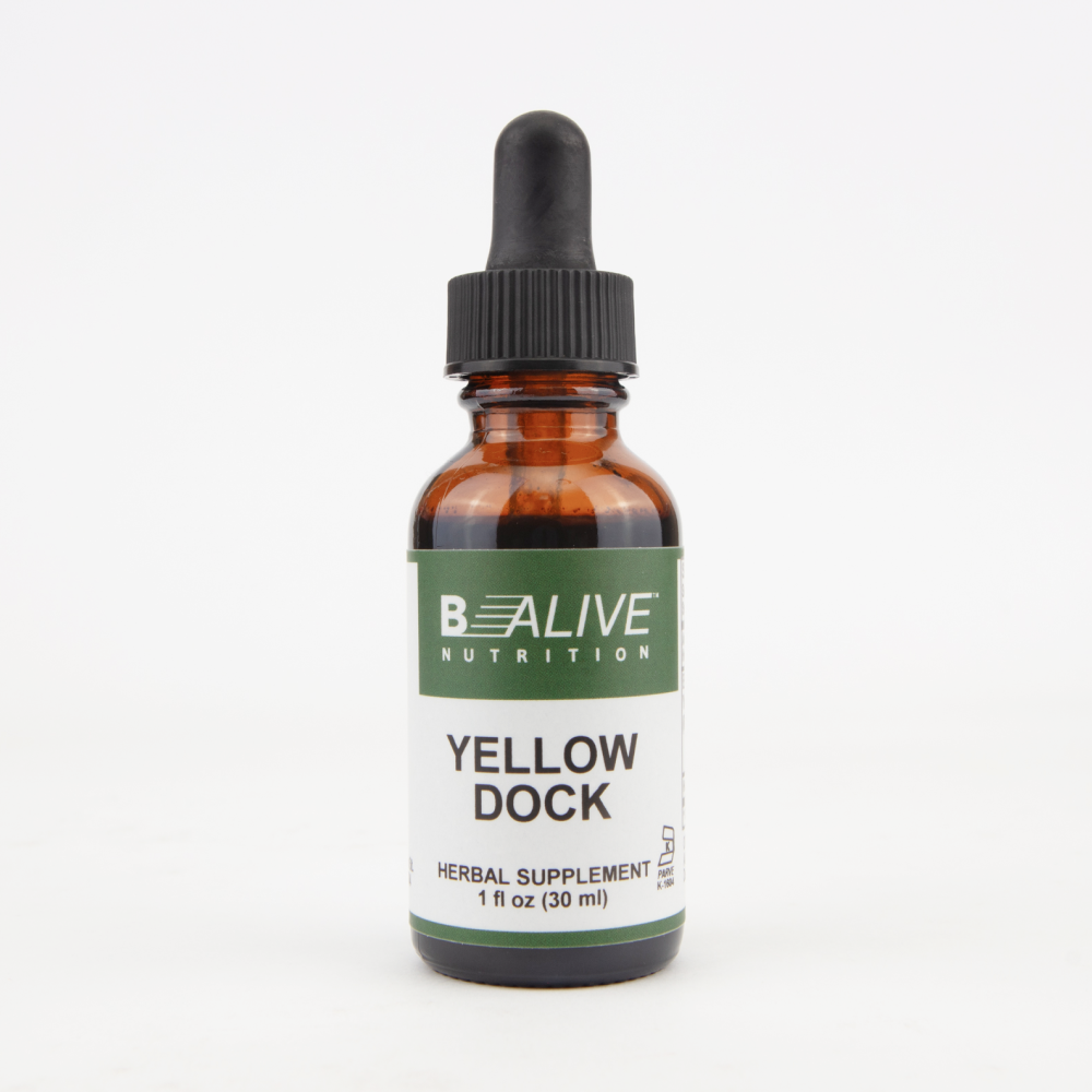 Yellow Dock Image 1