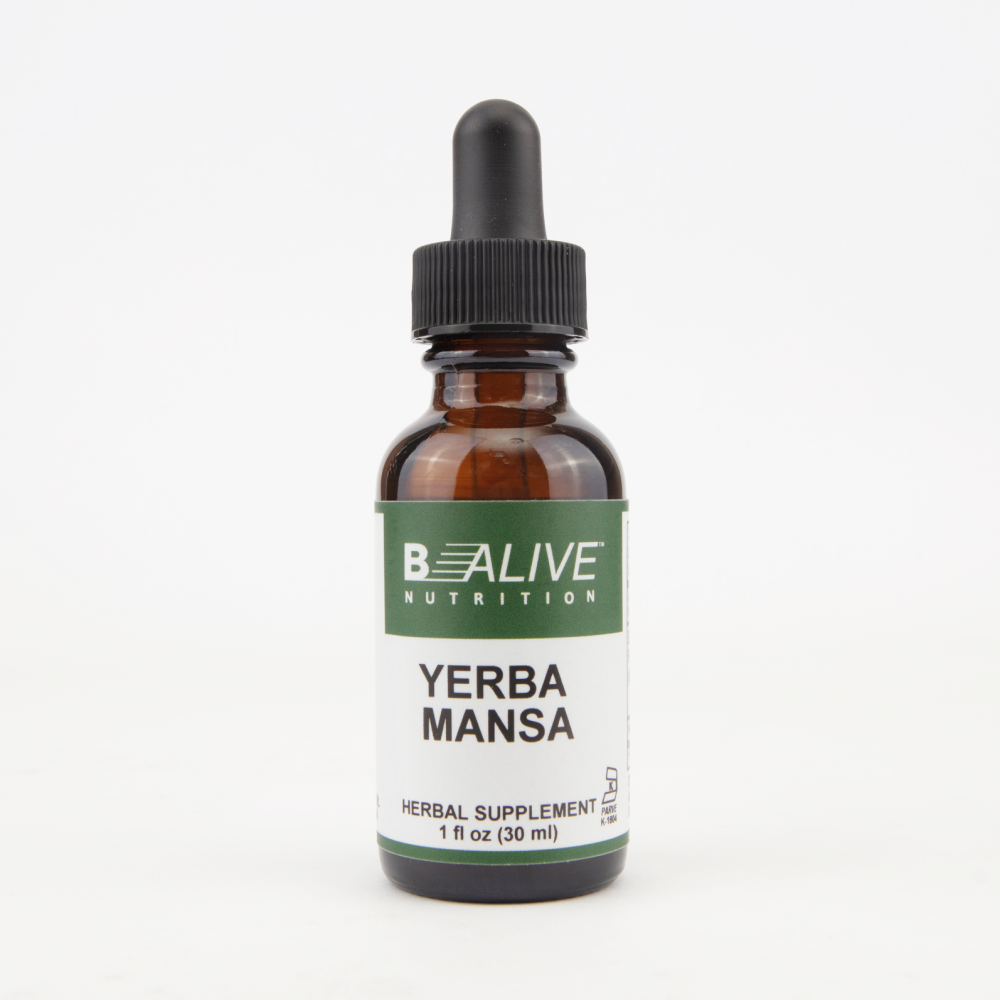 Yerba Mansa Image 1