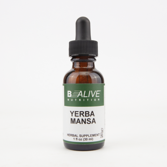 Yerba Mansa Image 1