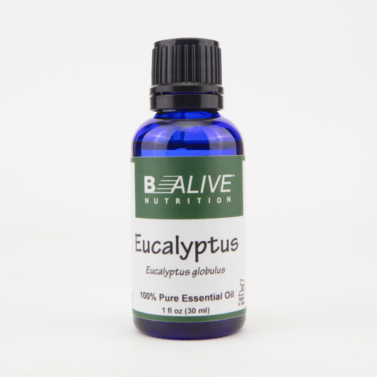 Eucalyptus Image 1