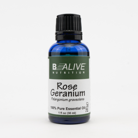 Rose Geranium Image 1