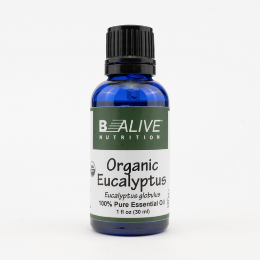 Organic Eucalyptus Image 1