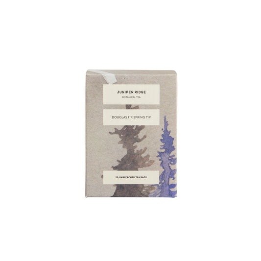 Tea Douglas Fir Spring Tip Image 1