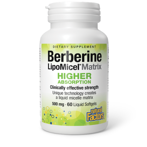 Berberine LipoMicel Matrix | Higher Absorption | Clinically Effective Strength | 500mg Image 1