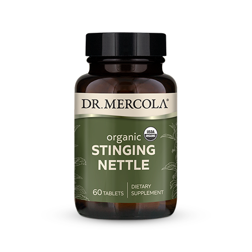 Organic Stingning Nettle Image 1