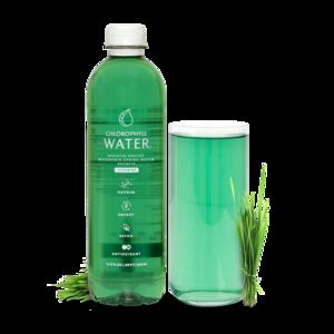 Spring Mountain Chlorophyll Water Image 1