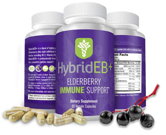 Hybrid EB+ Complete Image 1