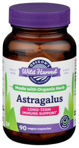 Astragalus Organic Image 1