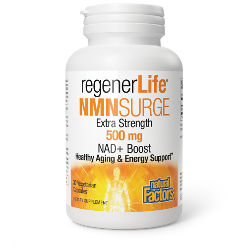 NMNsurge Boost 500mg Image 1