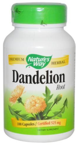 Dandelion Root Image 1