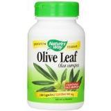 Olive Leaf Image 1