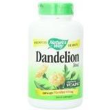 Dandelion Root Image 1
