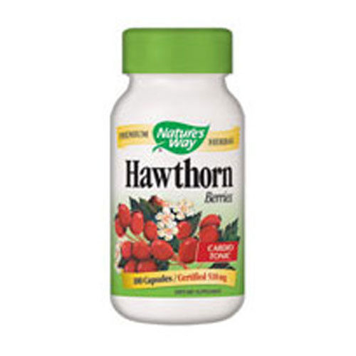 Hawthorn Berries Image 1
