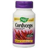 Cordyceps Premium Herbal Image 1