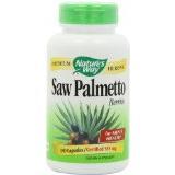 Saw Palmetto Berries Image 1