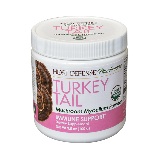 Turkey Tail Mushroom Powder Image 1