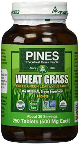 WHEAT GRASS 250 TABS Image 1