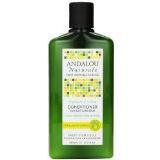 Conditioner Brll Shine 11Oz Image 1