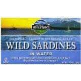 Wild Sardines Spring Water Image 1