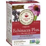 ECHINACEA ELDER Image 1