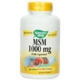 msm 1000 mg Image 1